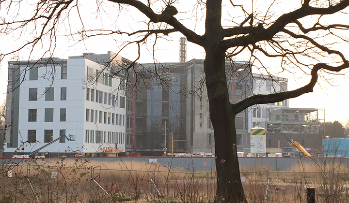 Birmingham Dental Hospital